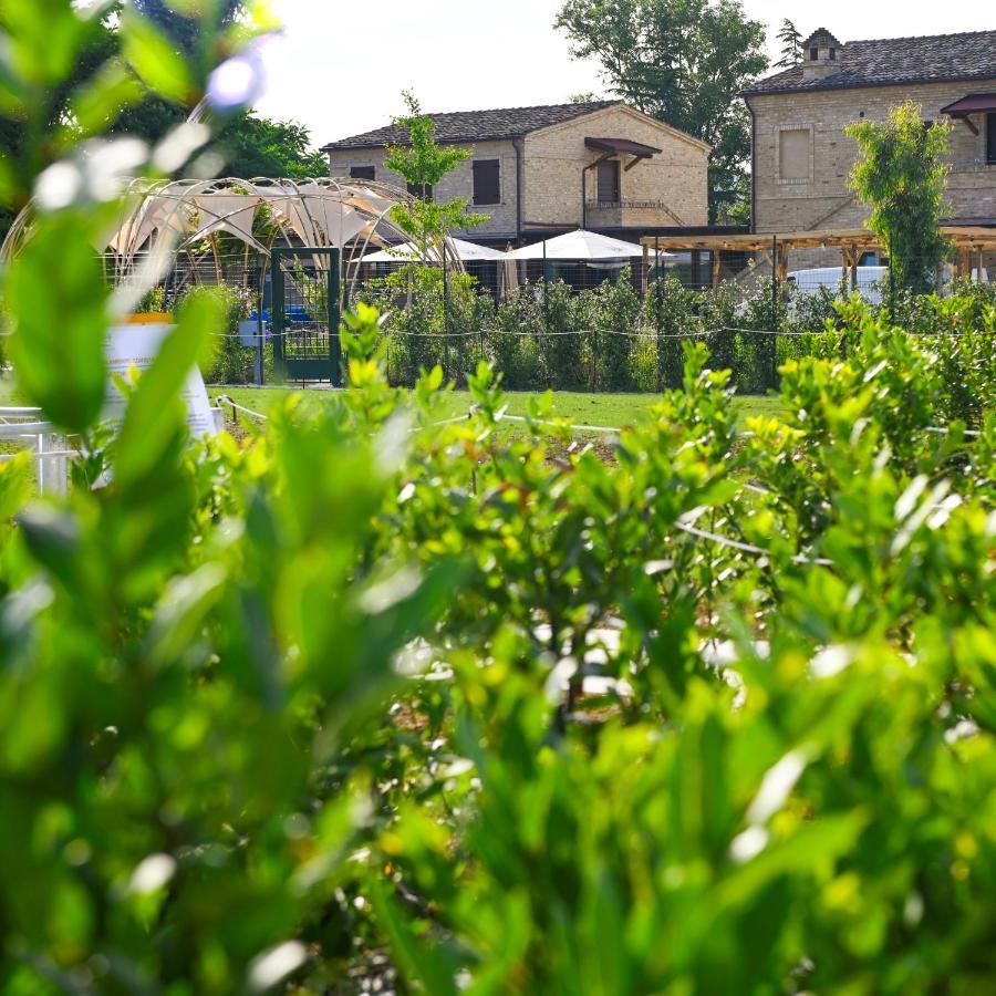 Moretti Village - B&B Civitanova Marche Exterior photo